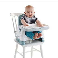 Fisher-Price Healthy Care Deluxe Booster Seat