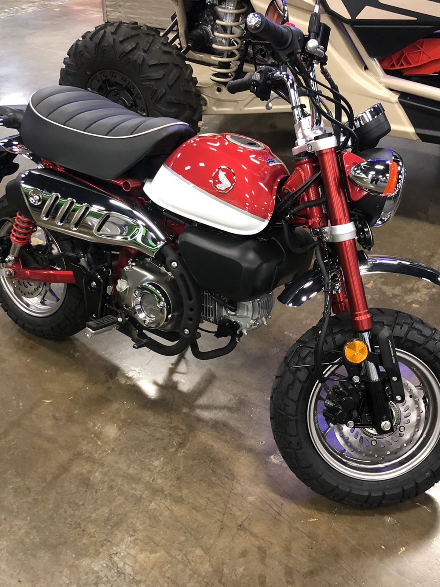 2020 Honda Monkey 125 ABS