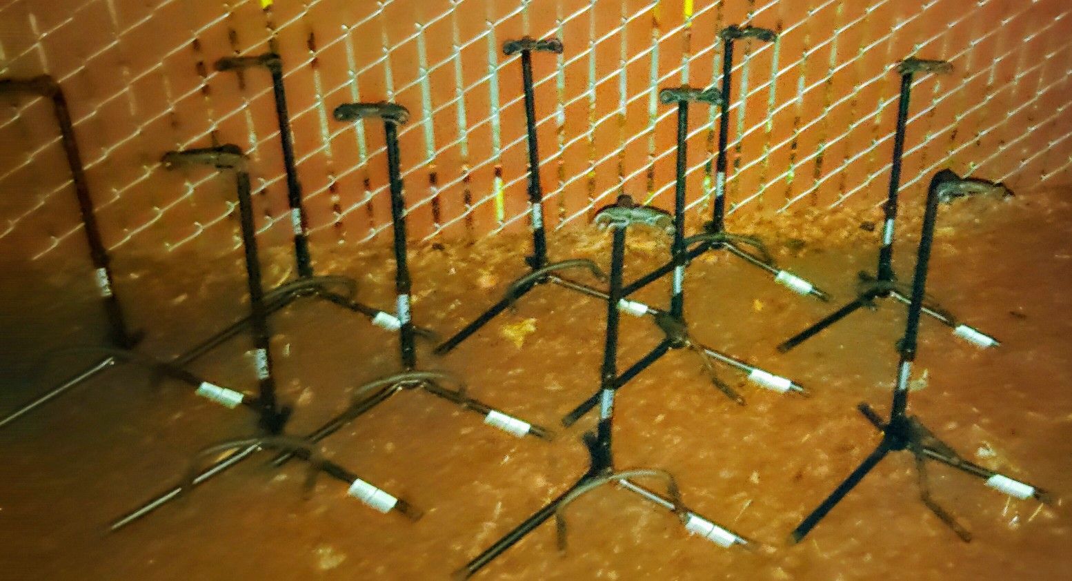 Guitar Stands
