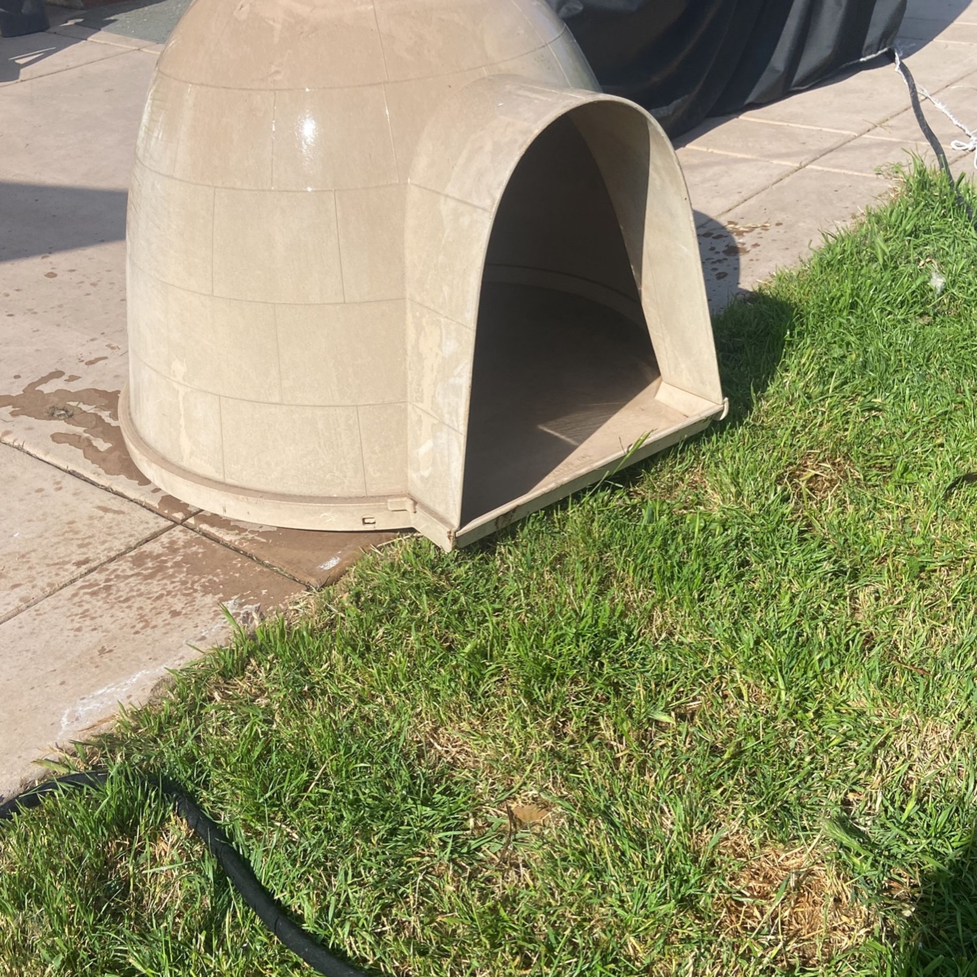 Large Dogloo Dog House for Sale in Imperial Beach, CA OfferUp