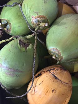 Cocos