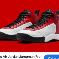 Jordan Jumpman Pro