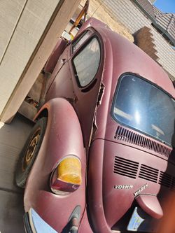 Volkswagen Bug
