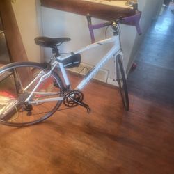 Specialized Dolce Spot C2