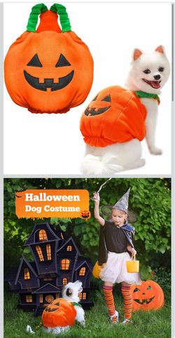 Funny Pumpkin Dog Halloween Costume Pet Dog Cat