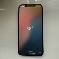 Apple iPhone 12 Pro Max 256GB Unlocked