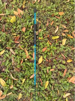 Fishing pole
