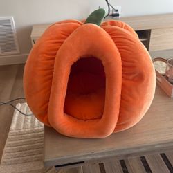 Pumpkin Cat Bed