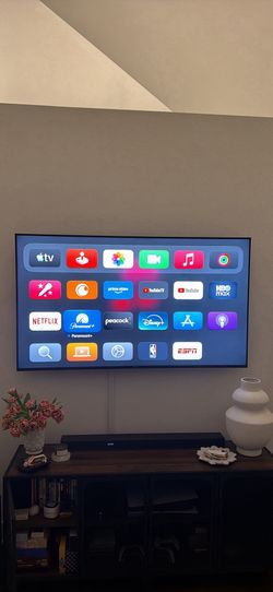 65” 4K Sony Bravia TV