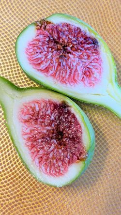 Last Chance! Final 1-Gallon Fig Trees Available