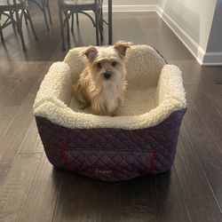 Dog Bed Couch