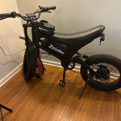 ZORIX E-BIKE