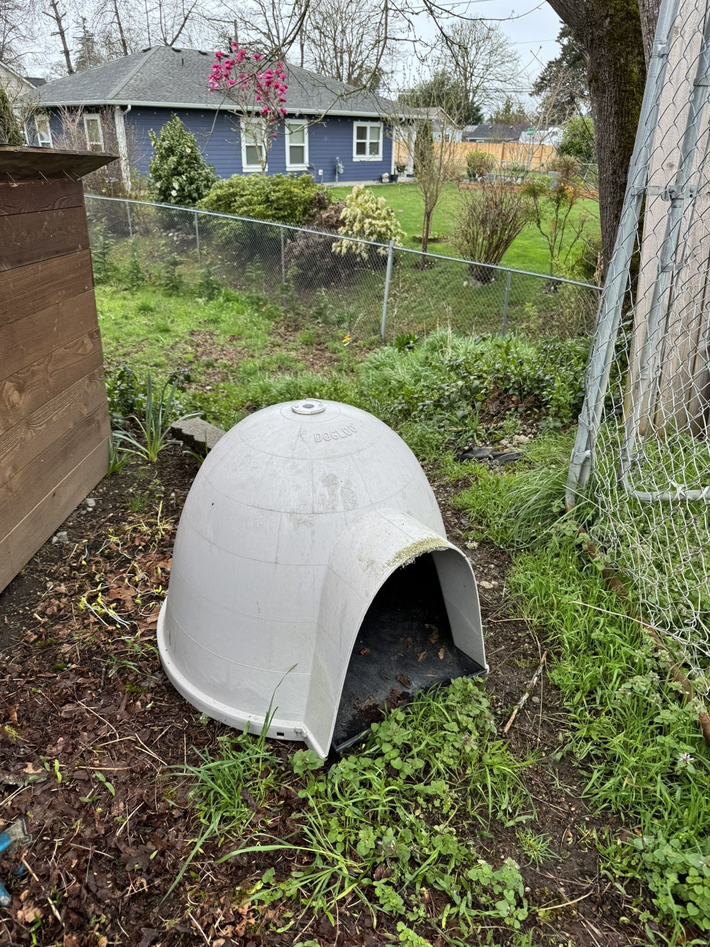Igloo Dog House Medium Size