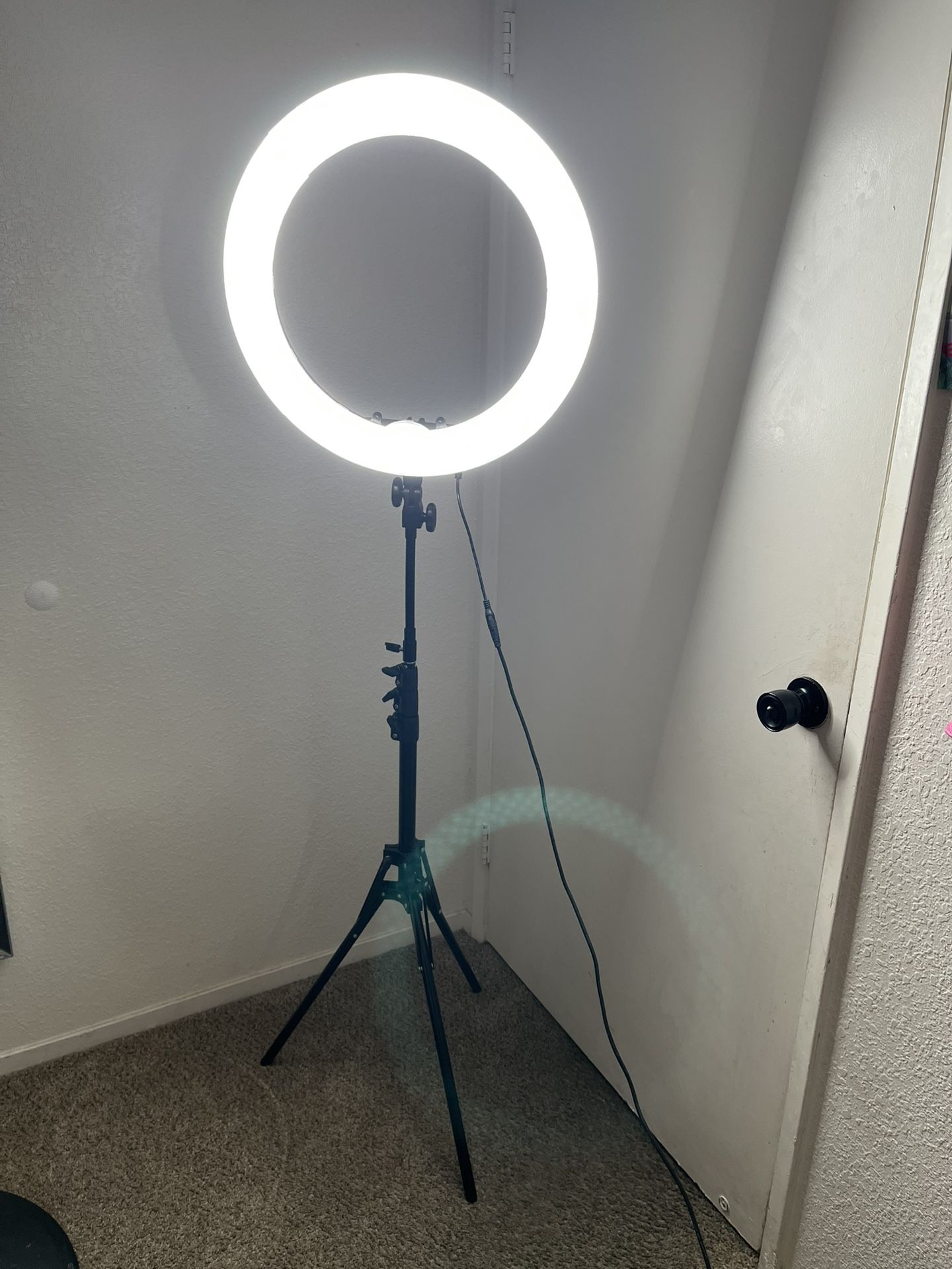 NEEWER Ring Light