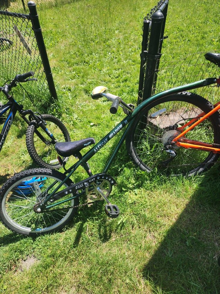 Bike Trailer