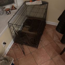 Dog Crate