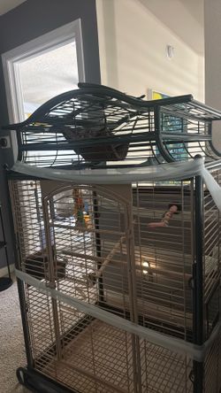 Birdcage For Sale
