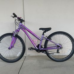 24” specialized hot rock
