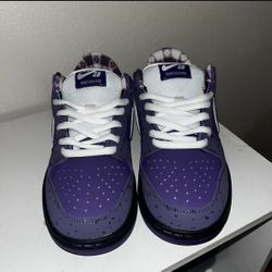 Nike SB Dunk Low Pro Purple Skateboarding Shoes Sneakers