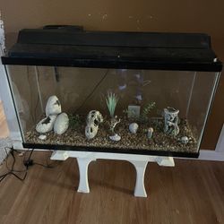 Fish Water 40 Gallons 