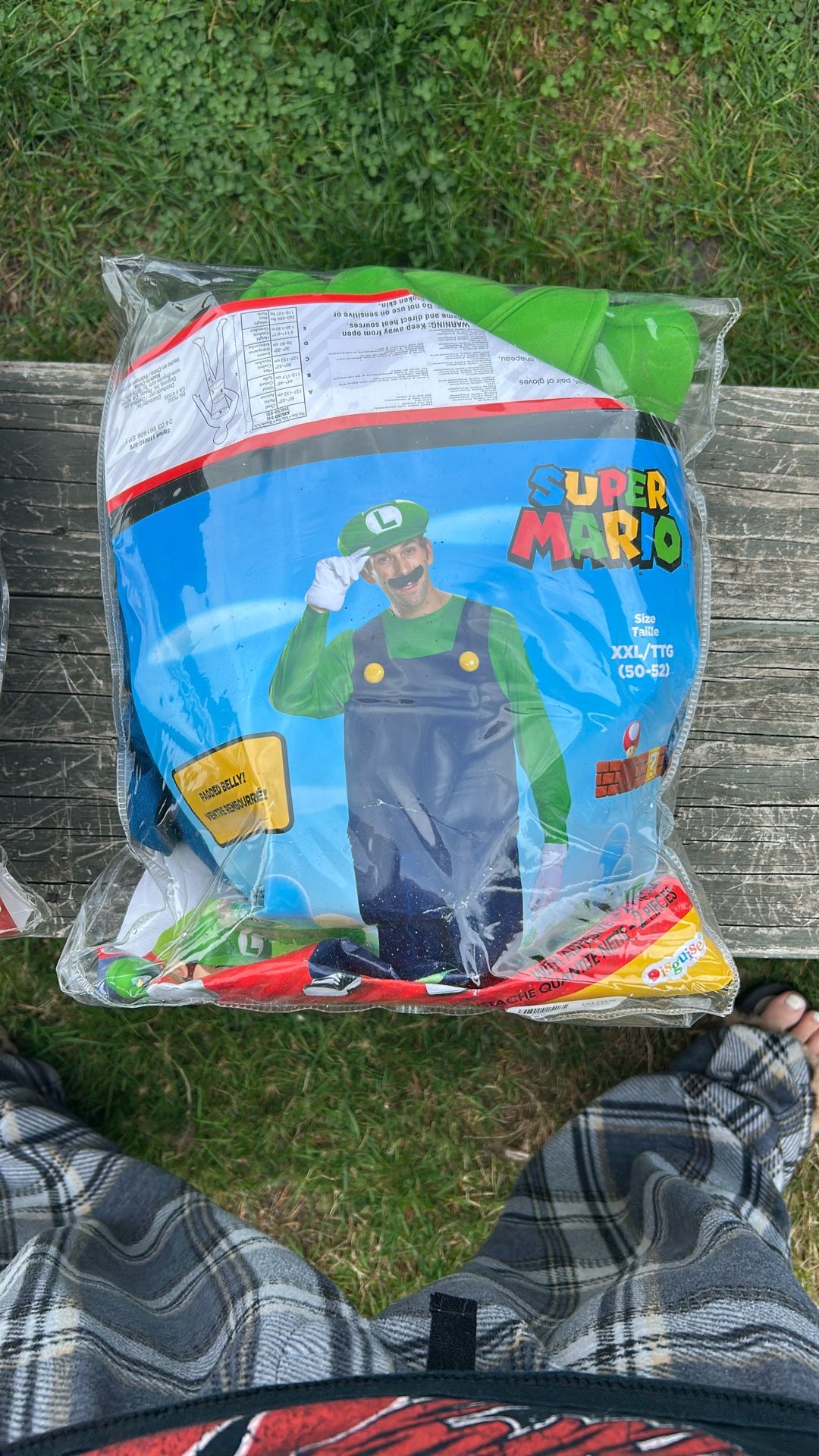 Adult Halloween costume