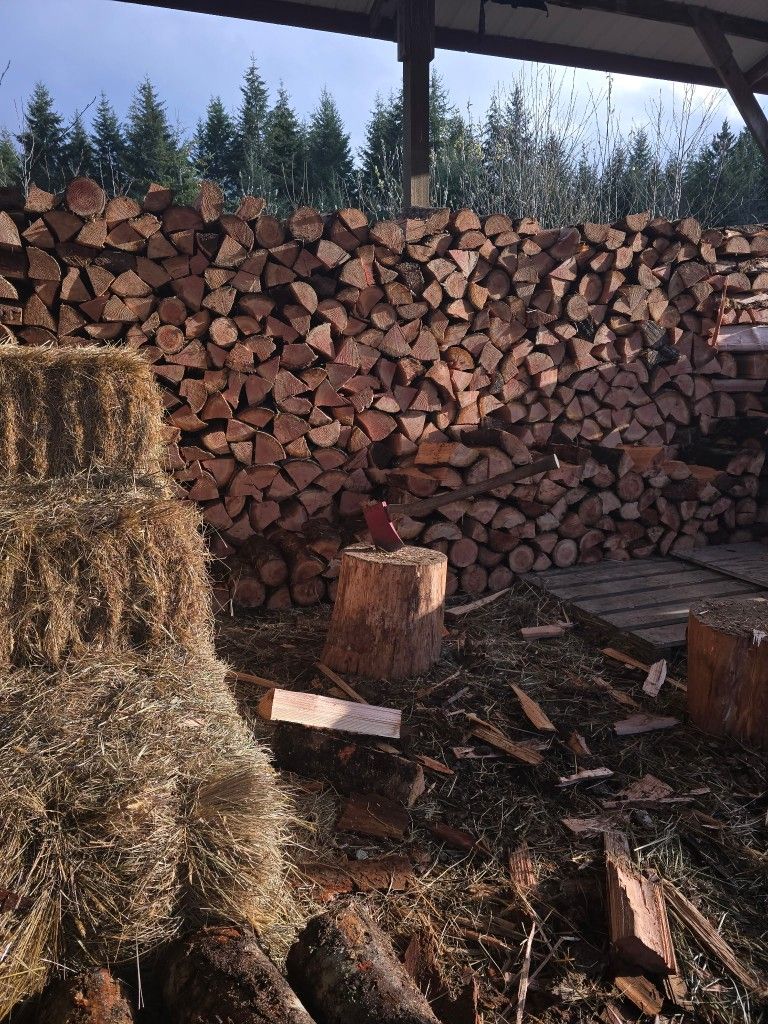 Firewood