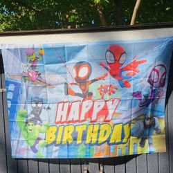 Spidey Birthday Decor (Sign And Garland)