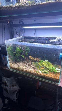 Aquarium decor