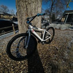 29 inch SE big flyer bike 