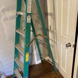 Werner 6 Foot Ladder