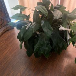 2 large fake home plants
