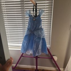 Cinderella Costume Size 6