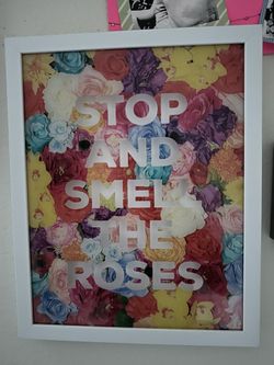 Stop And Smell Roses Glass Frame