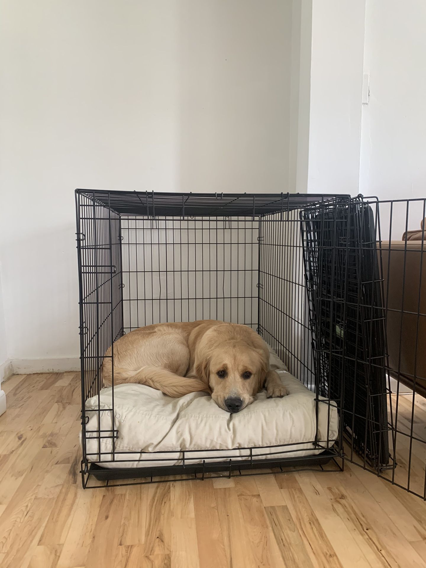 Large Dog Crate For Sale