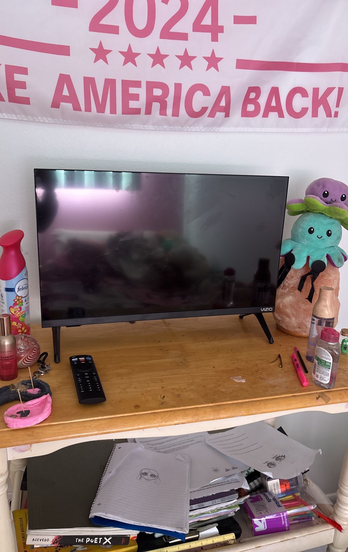 Vizio Television “24