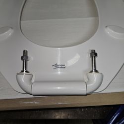 Toilet Seat, Heavy Duty Commercial Grade, Stainless Hinge And Hardware 