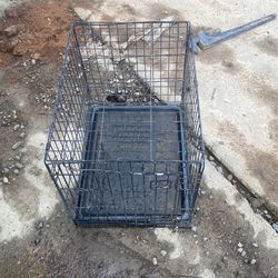 Collapsable Animal Crate  