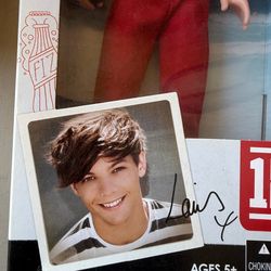 Louis Tomlinson 2012 One Direction Doll Hasbro 1D Series; A2528; Unopened