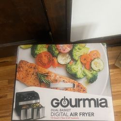 Dual Air Fryer 