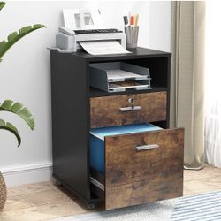 Tribesign 2-Drawer File Cabinet Mobile Printer Stand with Lock