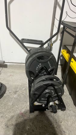 Weights/bars