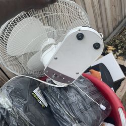 Fans 