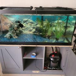 75 Gallon Tank And Stand With Filter