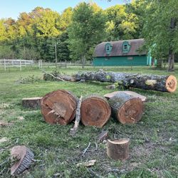 Lumber Firewood/ Project Wood