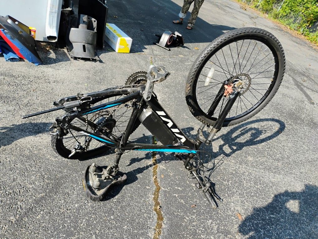 VI Vi Electric Bike.