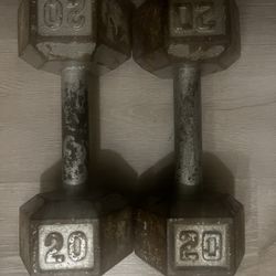 Dumbbells 25lbs
