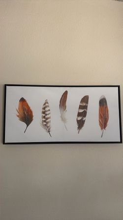 Feather Artwork in black frame