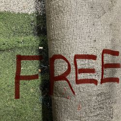 FREE Football Field Turf. 14 Ft X 12 Ft Approximately