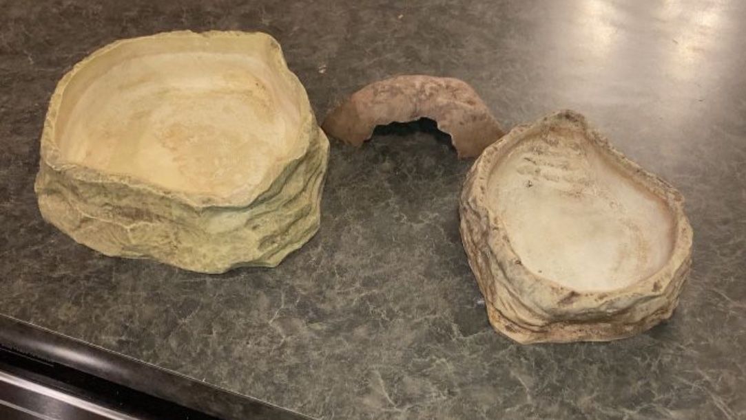 Reptile Hide And Water Dishes
