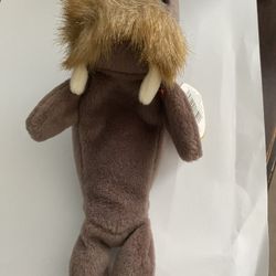 Baby Walrus Beanie 1996
